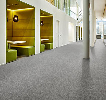 Flotex Colour Canyon 50*50 t545022 Canyon Limestone фото 3 | FLOORDEALER